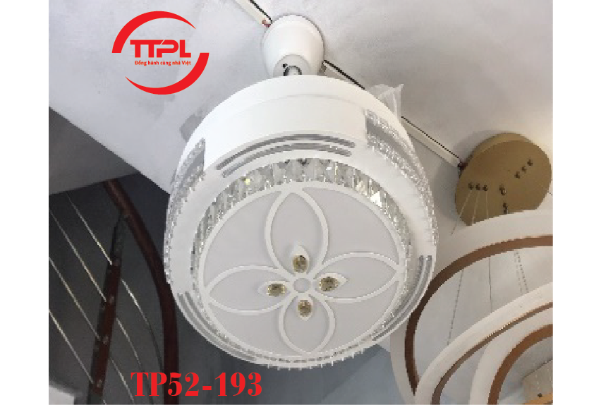 TTP52-193