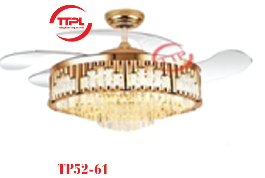 TTP52-61