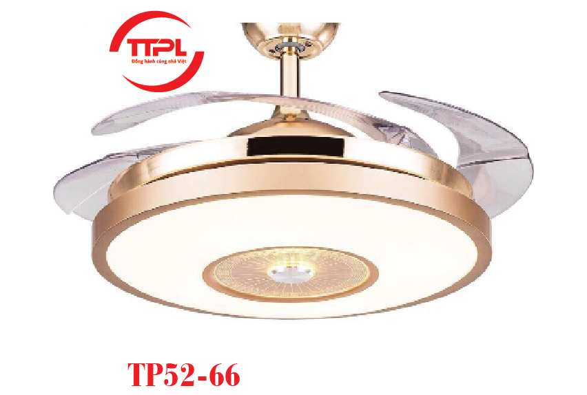 TTP52-66
