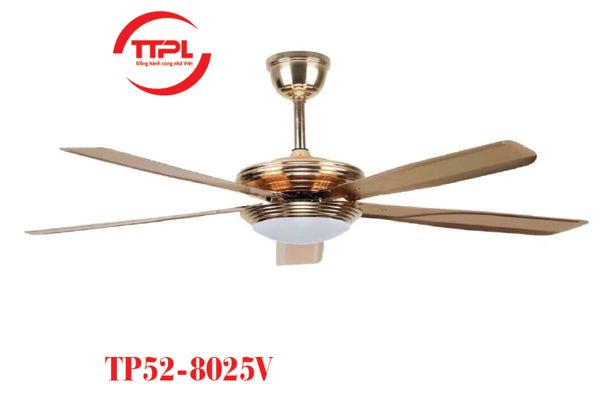 TTP52-8025V