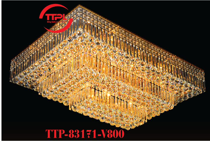 TTP-83171-V800