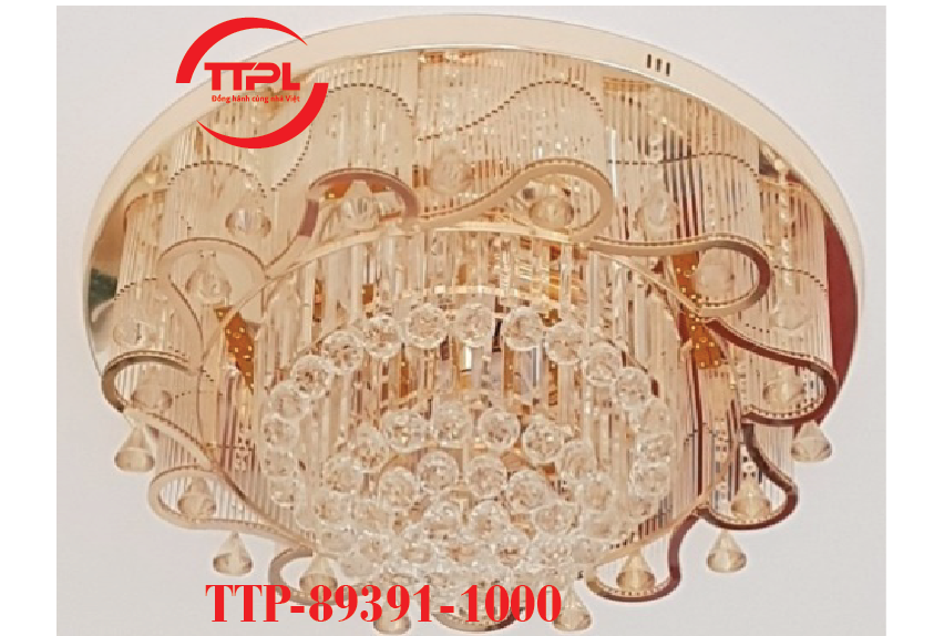 TTP-89391-1000