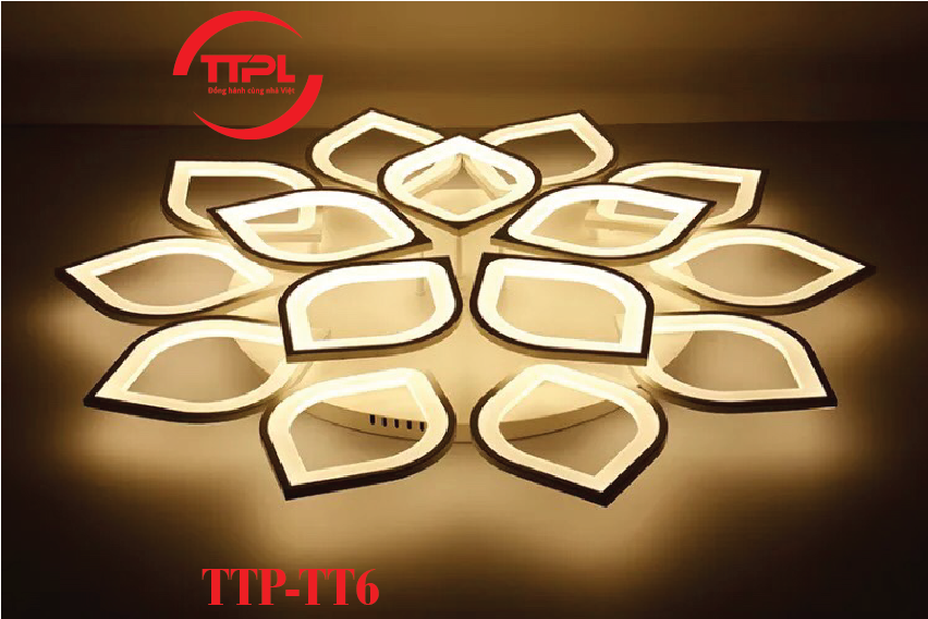 TTP-TT6